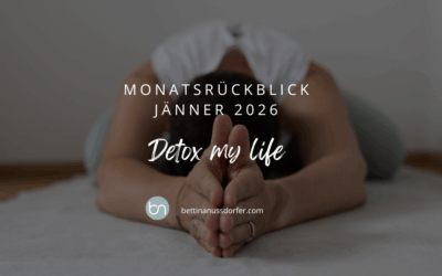 Monatsrückblick Jänner 2026