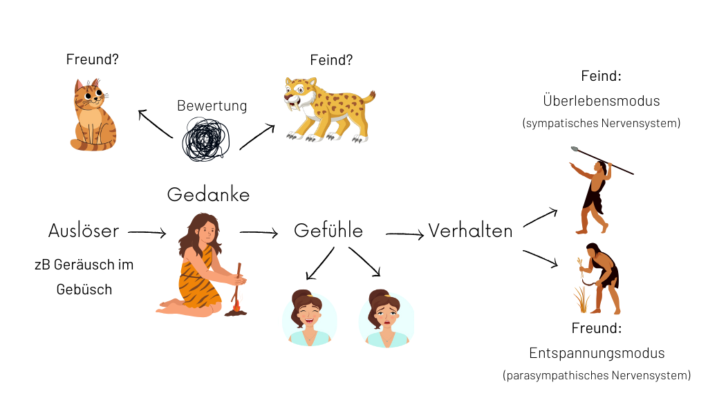 Reaktion Nervensystem