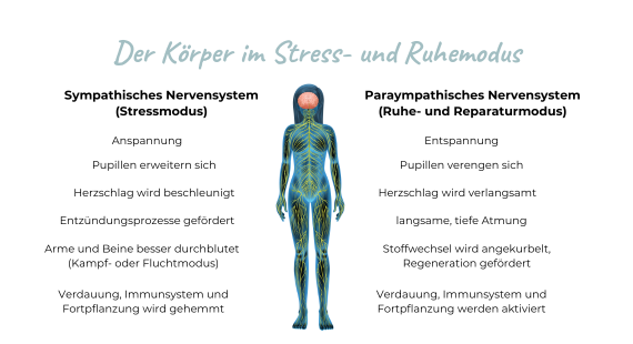 krank durch stress, stress macht krank, stress krebs